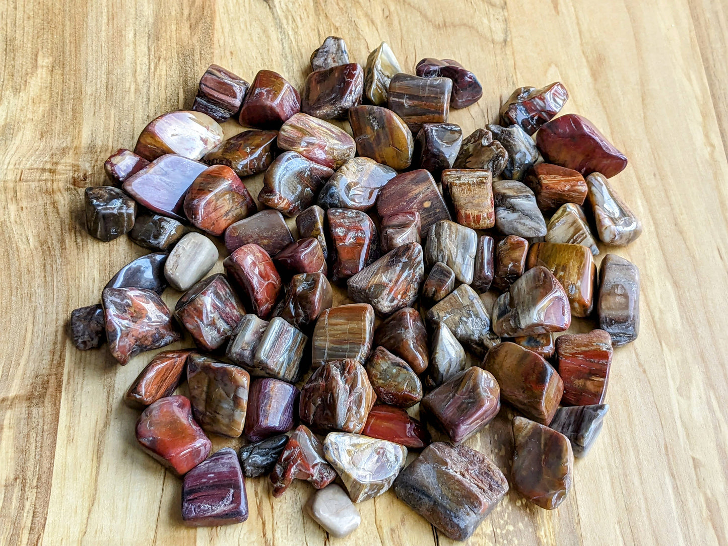 Petrified Wood Tumbled Stones