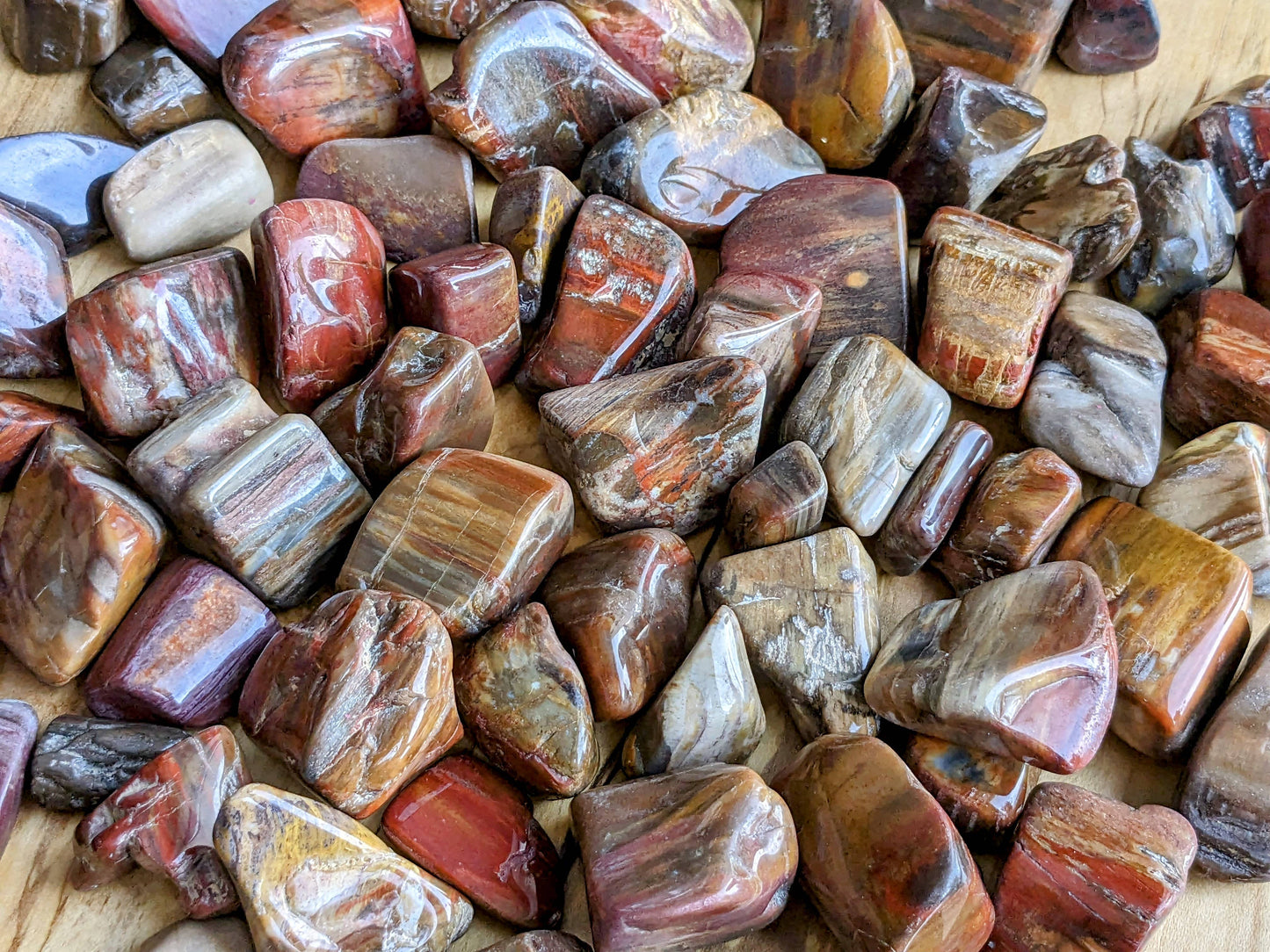 Petrified Wood Tumbled Stones