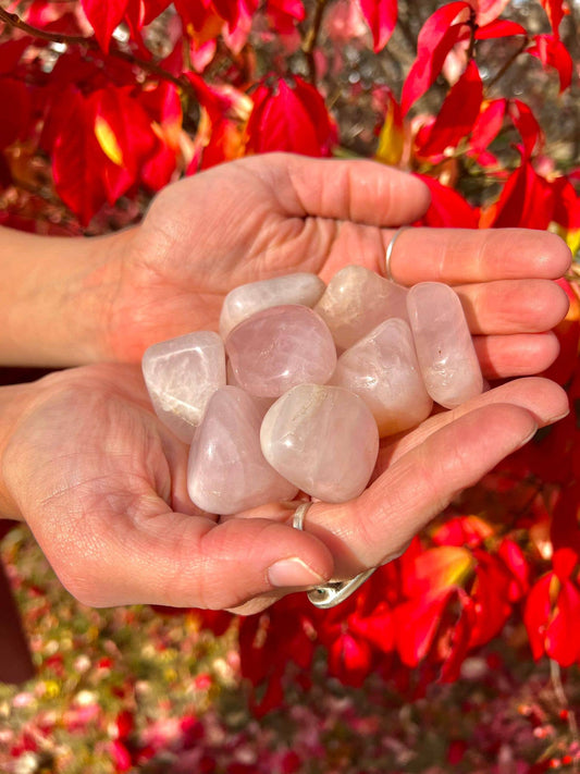 Rose Quartz Tumbled 30-45mm