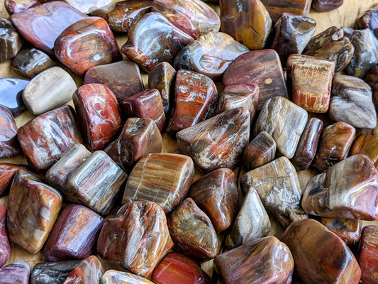 Petrified Wood Tumbled Stones