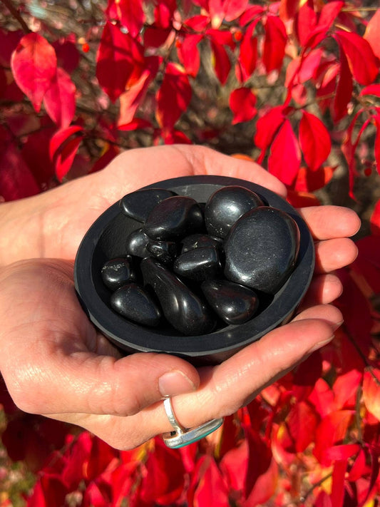 Shungite Tumbled