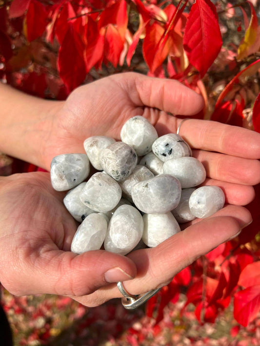 Rainbow Moonstone Tumbled 1 Kg