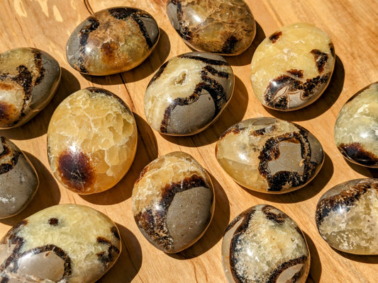 Septarian Palm Stones