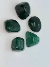 Malachite Polished Lg